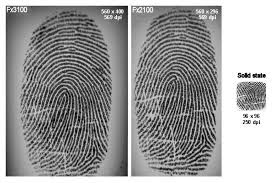 Comparazione creste papillari